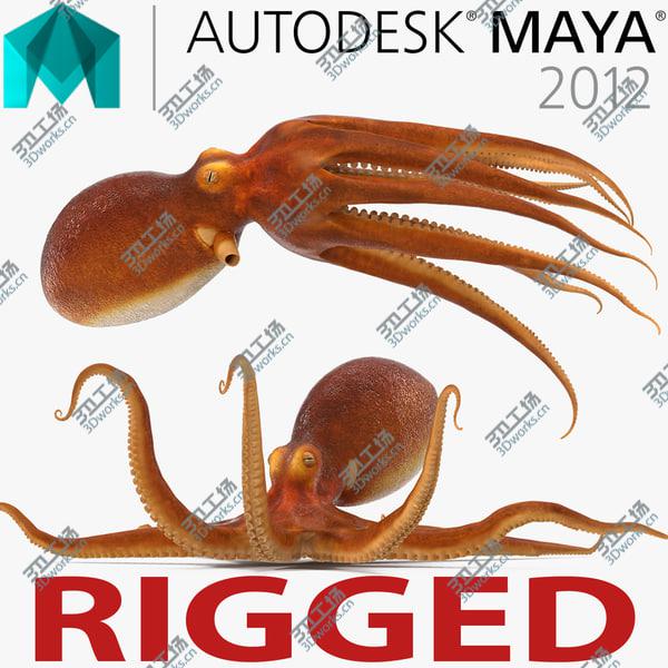 images/goods_img/20210312/Common Octopus Rigged for Maya/1.jpg